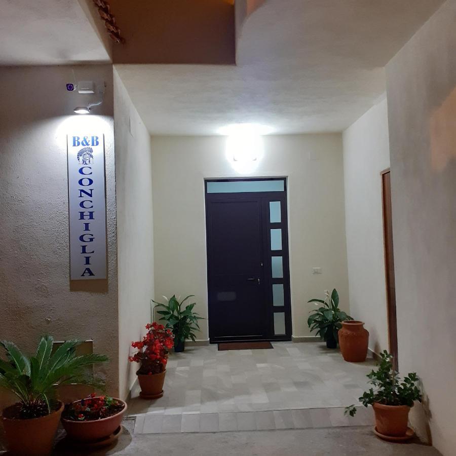 La Conchiglia Bed And Breakfast 산 니콜라 아르첼라 외부 사진